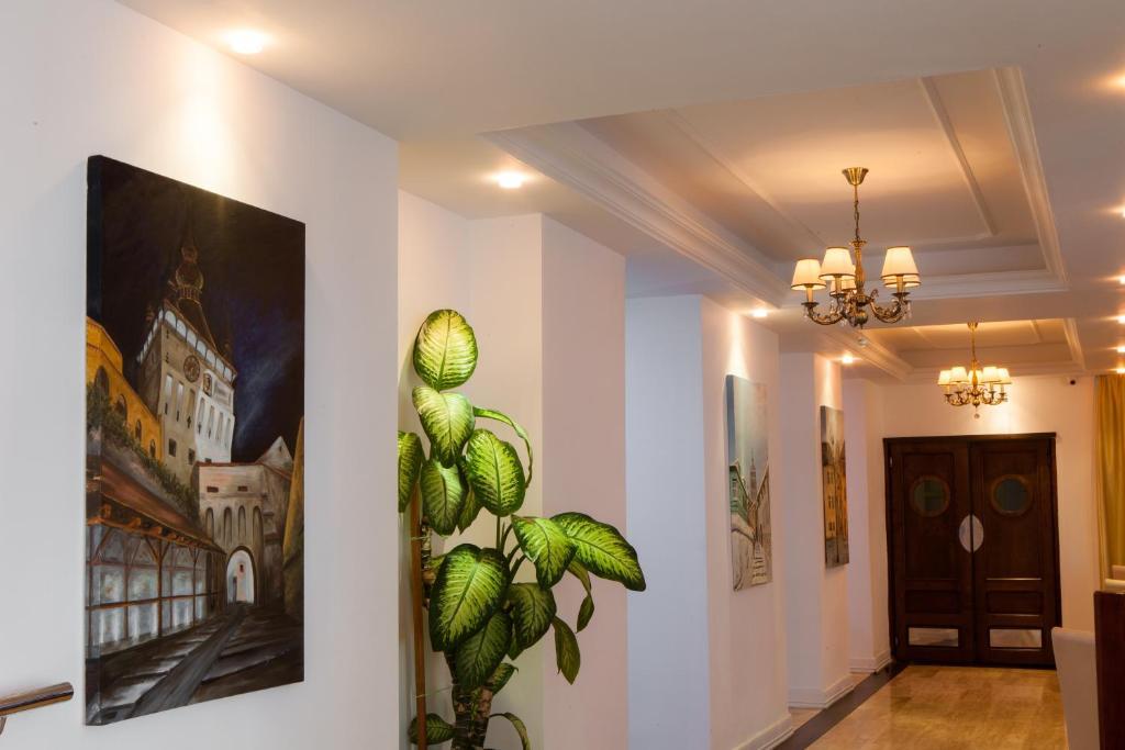 Hotel Rex Σιγκισοάρα Εξωτερικό φωτογραφία